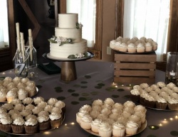 Simple elegant cake and cupcakes